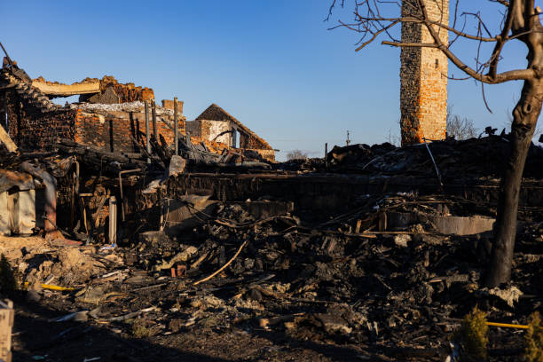 Reliable Content Restoration contractor in Willernie, MN by Fire Damage Doption